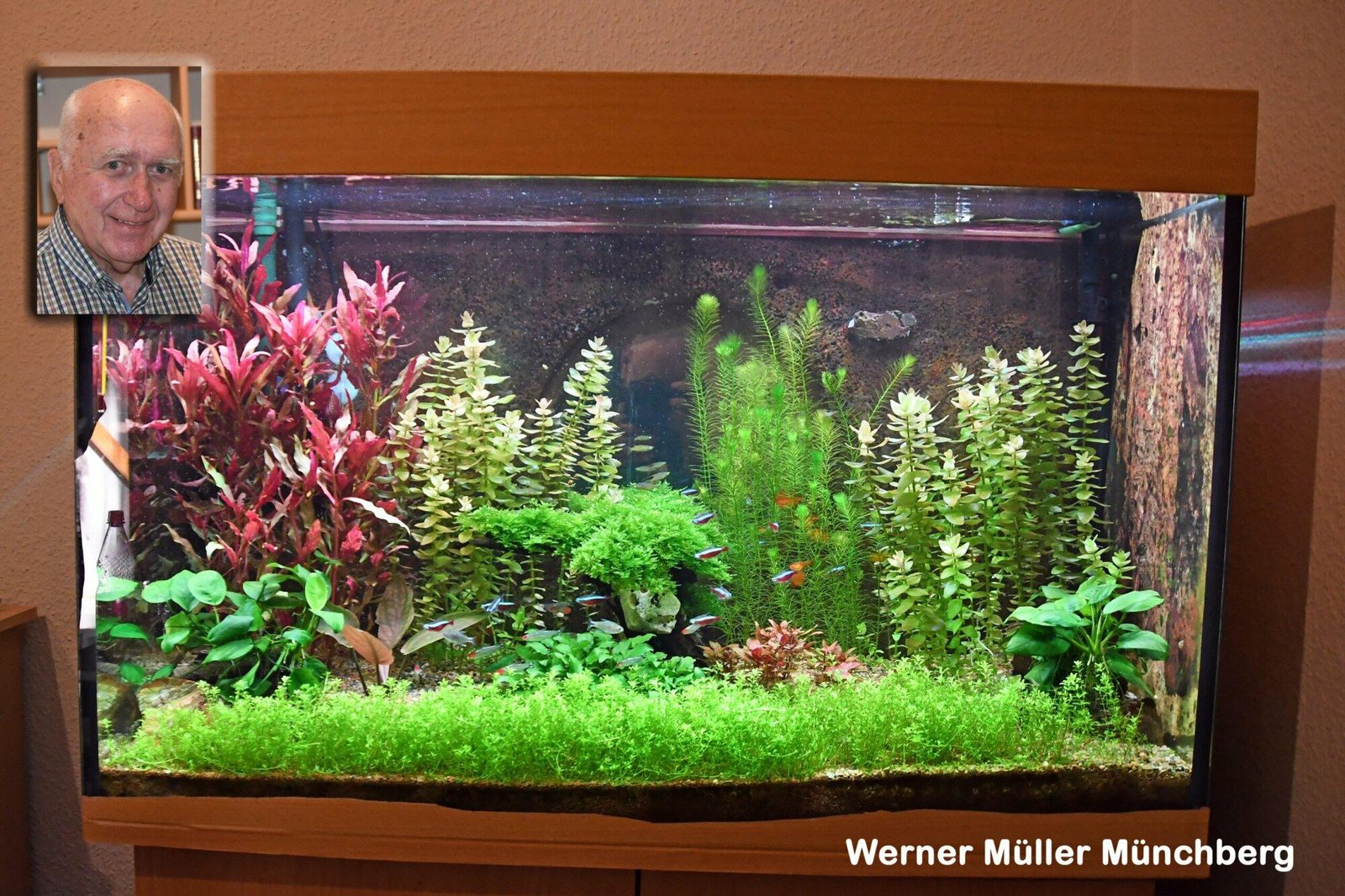 Das Becken von Werner Müller, Münchberg