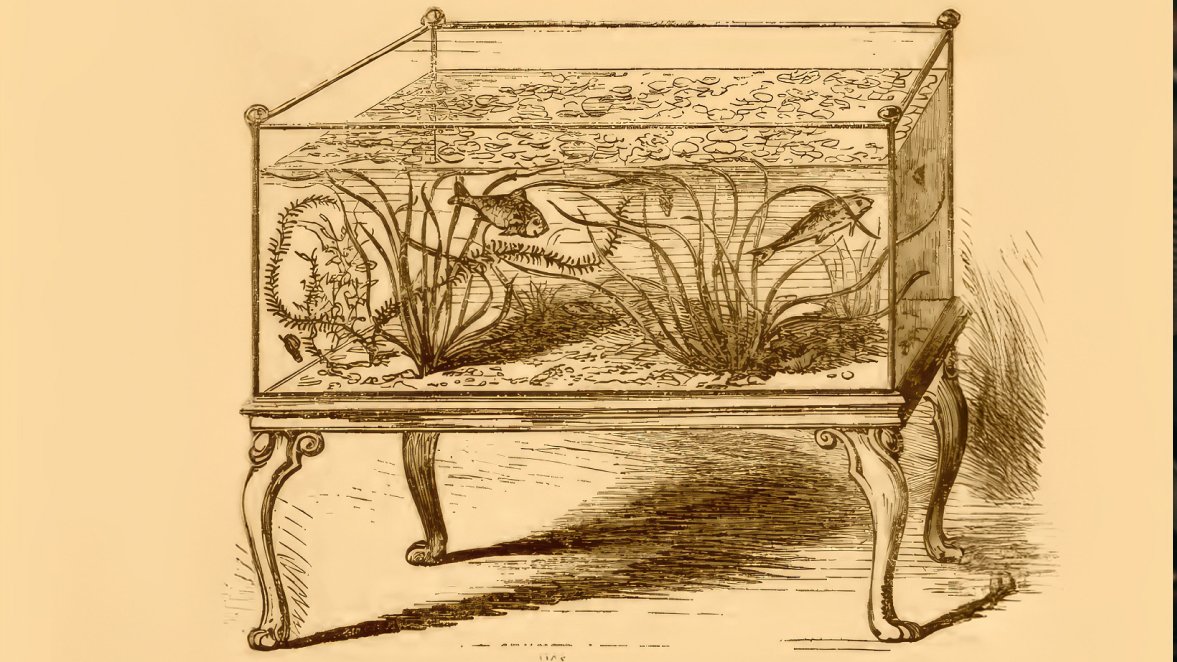 Nostalgie: War in der Welt der Aquaristik und Terraristik früher alles besser?