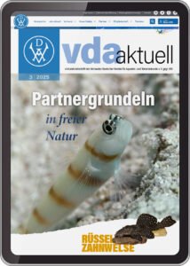Titelseite der Ausgabe vda-aktuell 3/2025 von vda-aktuell