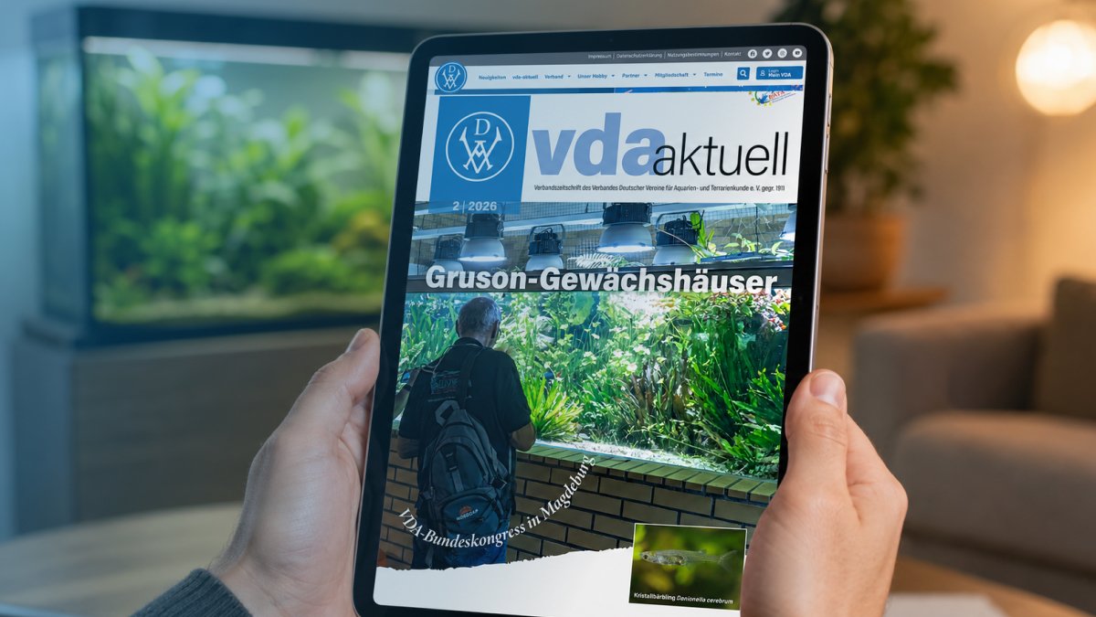 Titelseite der Ausgabe 2/2026 von VDA aktuell