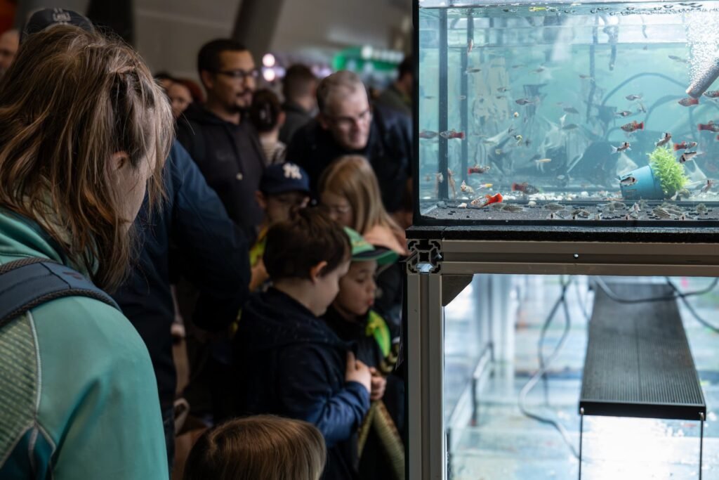 Mehrere Menschen, darunter Kinder, stehen vor einem beleuchteten Aquarium und betrachten die Fische