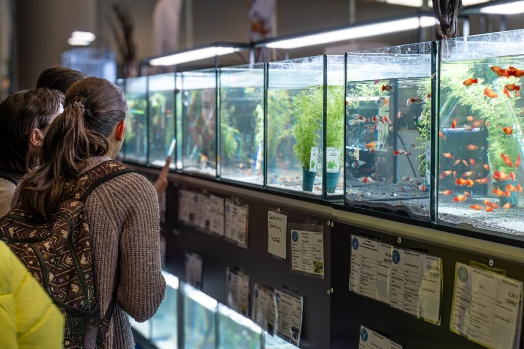 Menschen betrachten eine Reihe beleuchteter Aquarien auf einer VDA-Veranstaltung